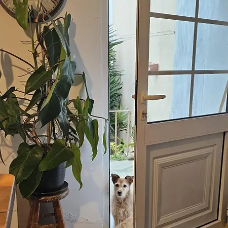 Maison d'hôtes Marina Lounge