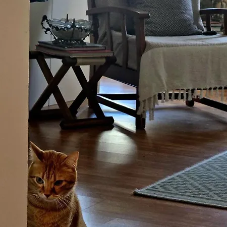 Marina Lounge Maison d'hôtes 3*