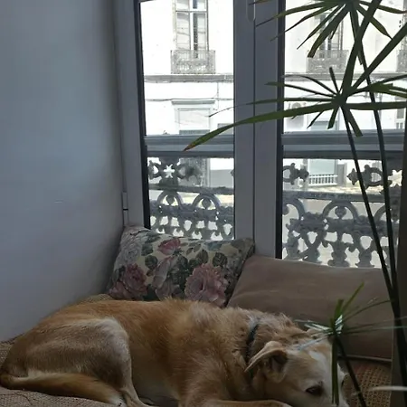 Maison d'hôtes Marina Lounge