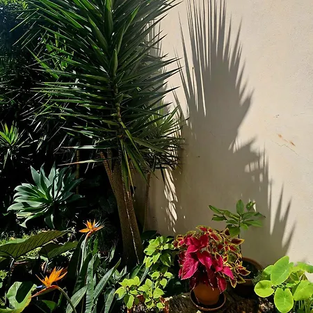 Marina Lounge Maison d'hôtes 3*