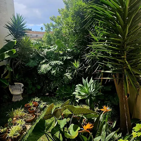 Marina Lounge Maison d'hôtes Ponta Delgada