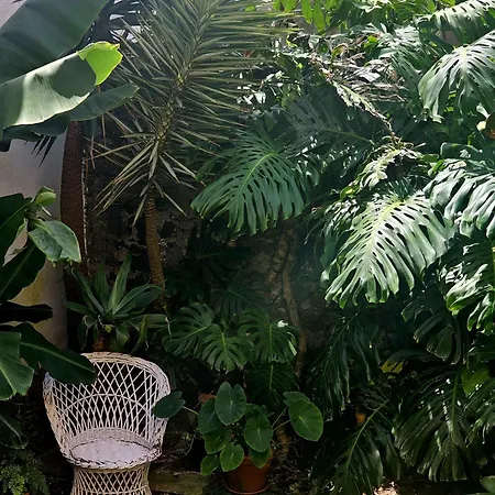 Marina Lounge 3* Ponta Delgada