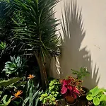 Marina Lounge 招待所 3*