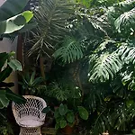 Marina Lounge 3* 蓬塔德尔加达