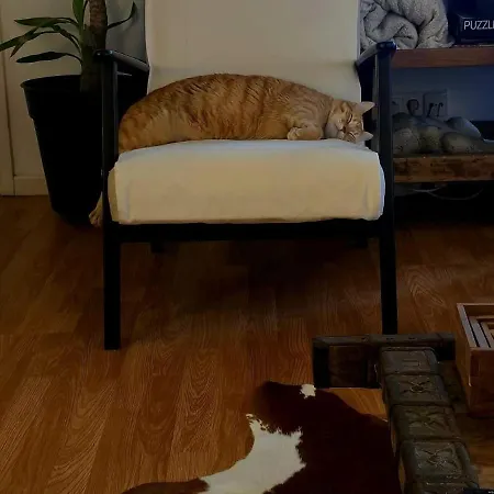 Marina Lounge Ponta Delgada