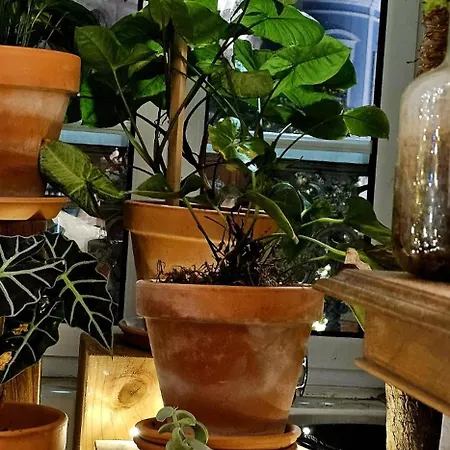 Affittacamere Marina Lounge 3*