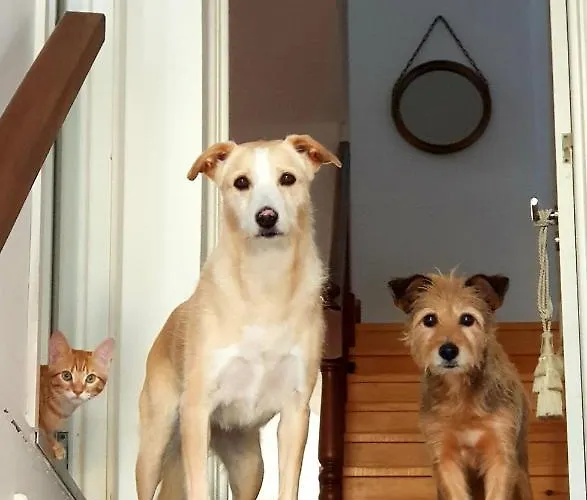 Marina Lounge Affittacamere