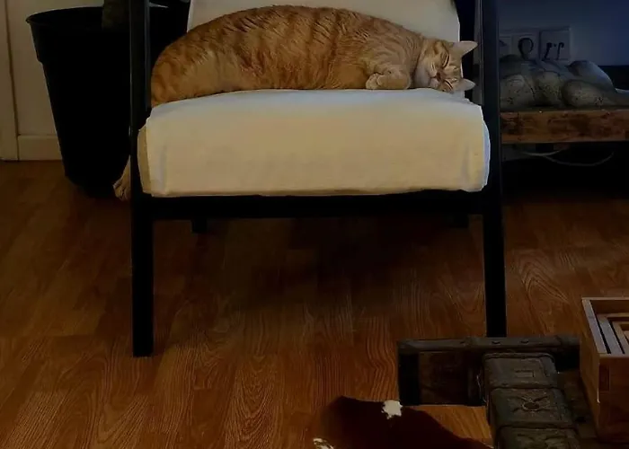 Marina Lounge Ponta Delgada