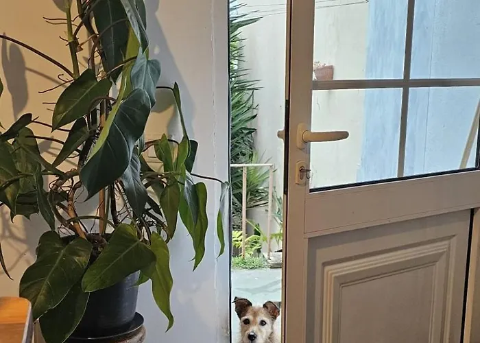 Affittacamere Marina Lounge