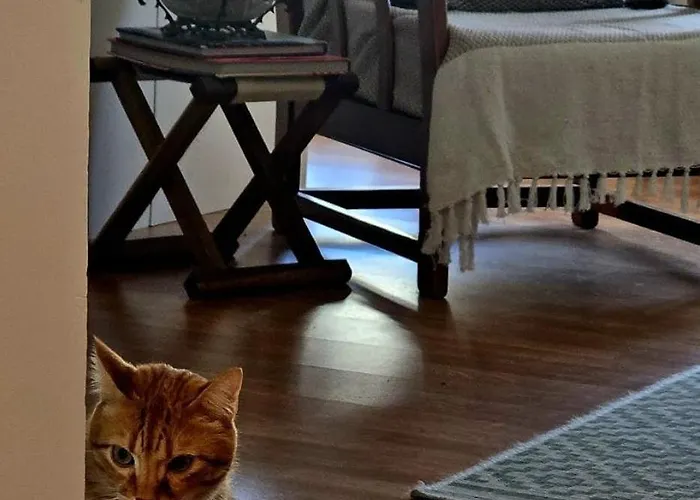 Marina Lounge Affittacamere 3*