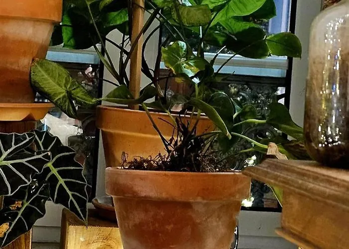 Affittacamere Marina Lounge 3*