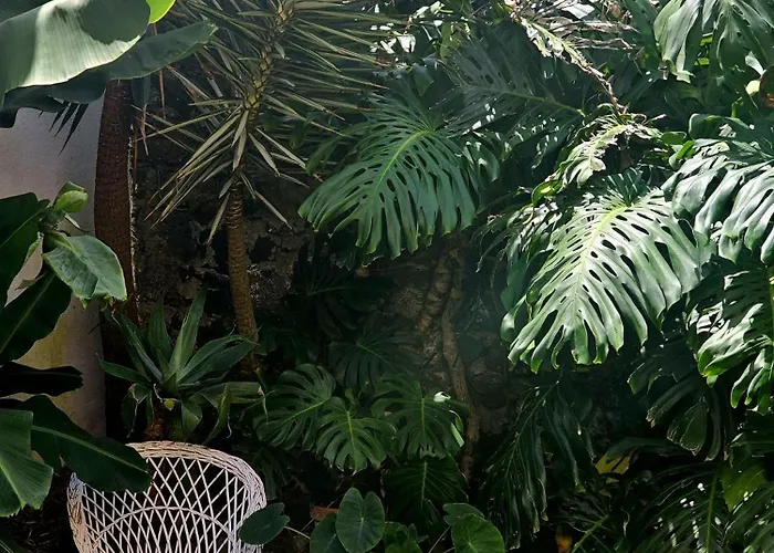 Marina Lounge 3* Ponta Delgada