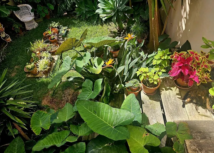 Marina Lounge Affittacamere